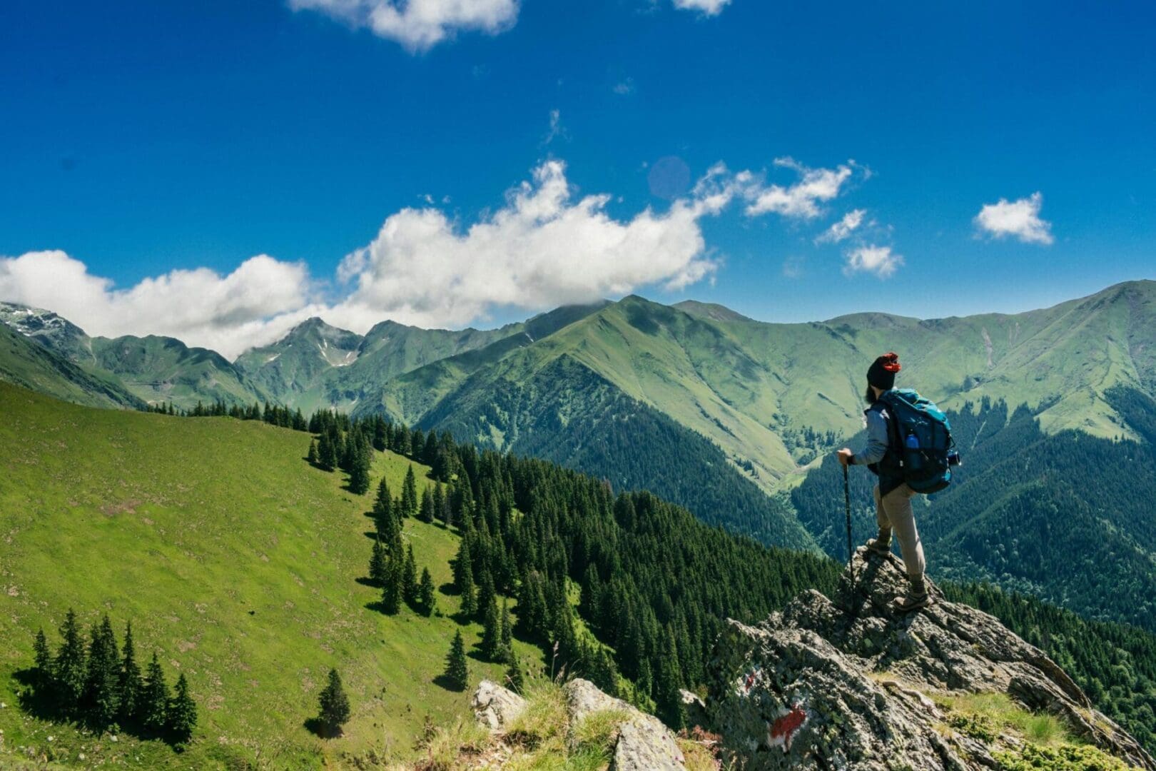 A person standing on top of a mountain with trees in the background